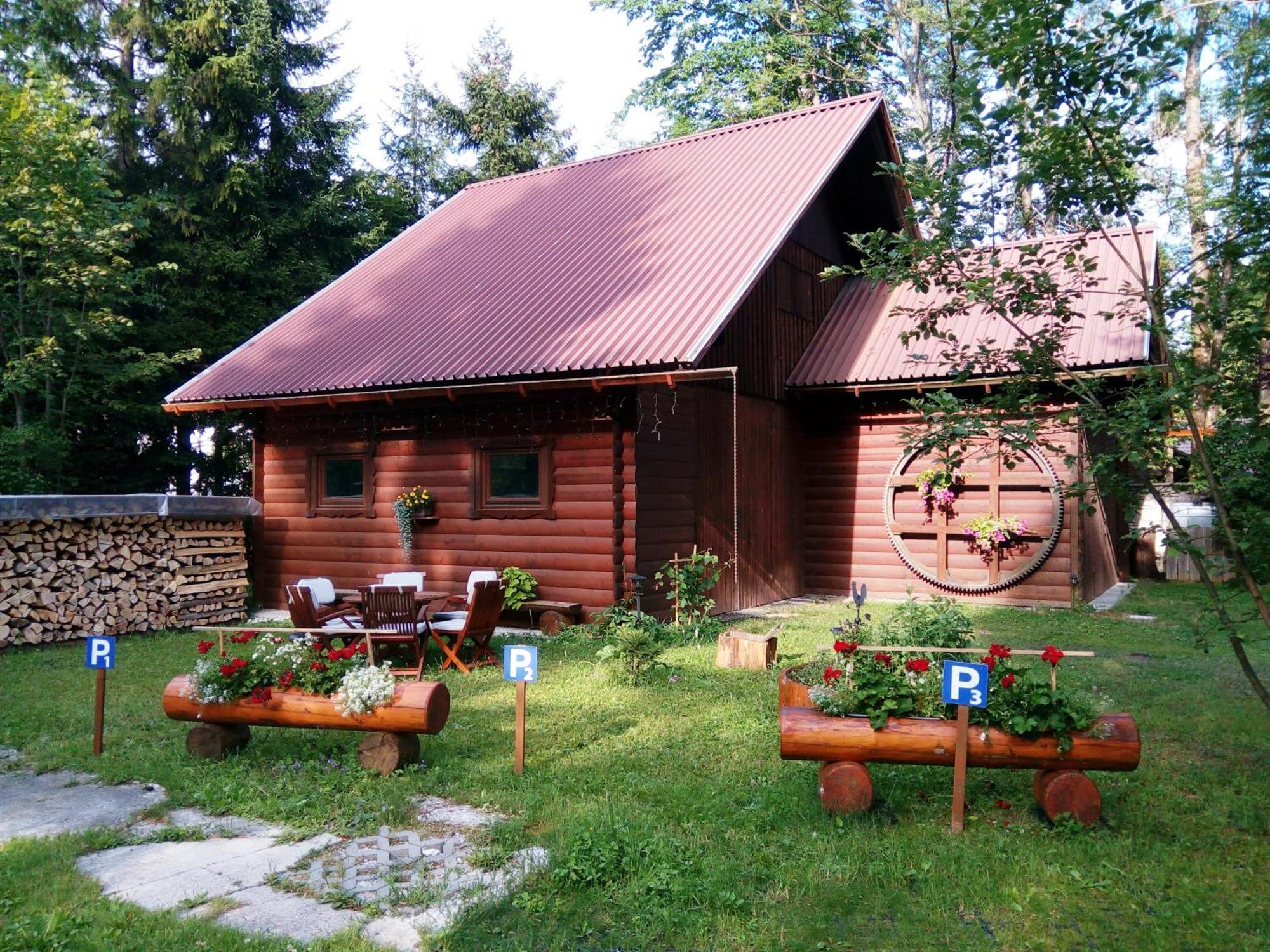 Вілла Farm Kosir Кранська Гора Екстер'єр фото