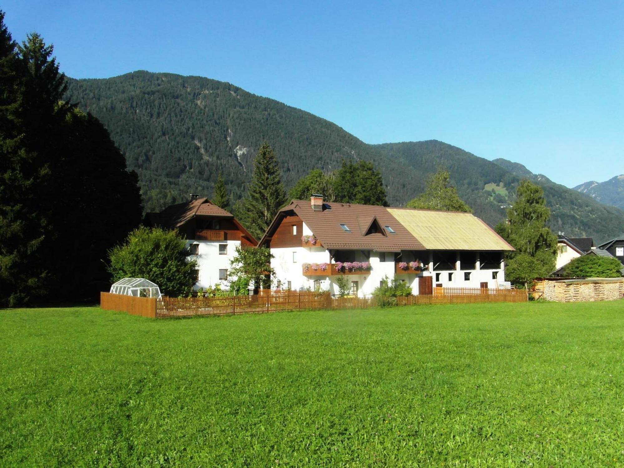 Вілла Farm Kosir Кранська Гора Екстер'єр фото