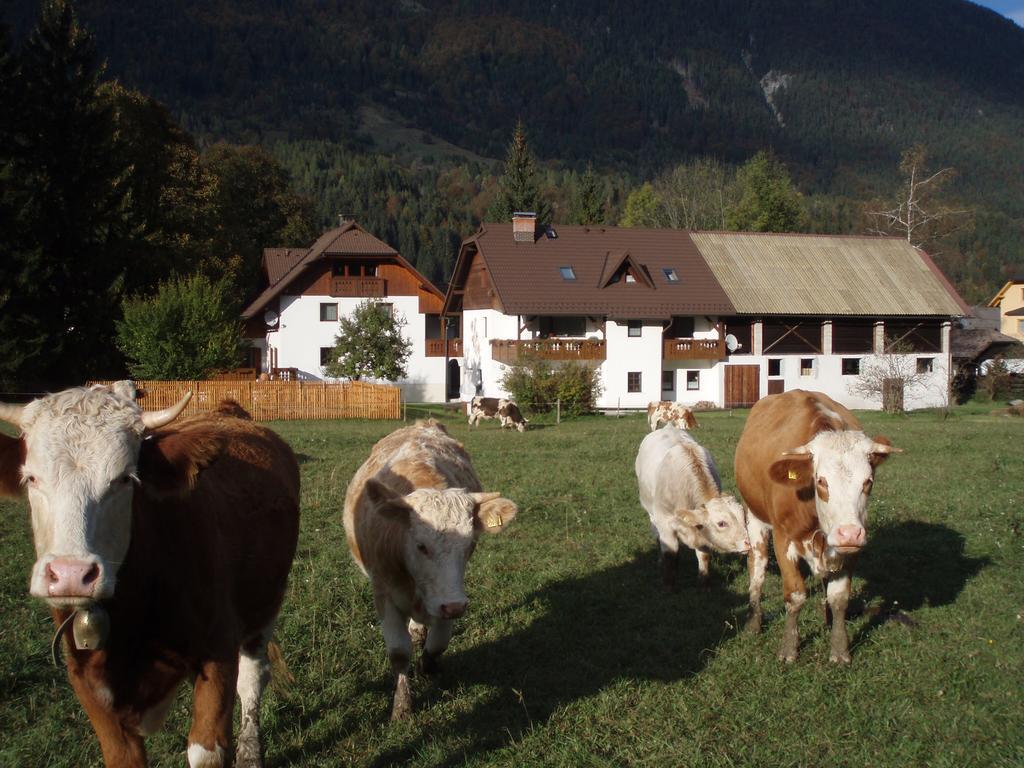 Вілла Farm Kosir Кранська Гора Екстер'єр фото