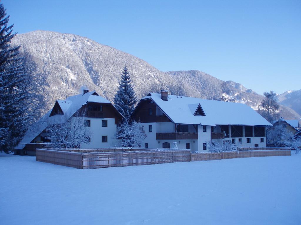 Вілла Farm Kosir Кранська Гора Екстер'єр фото